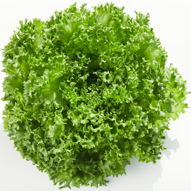 MCAS植物工場事業部【公式】